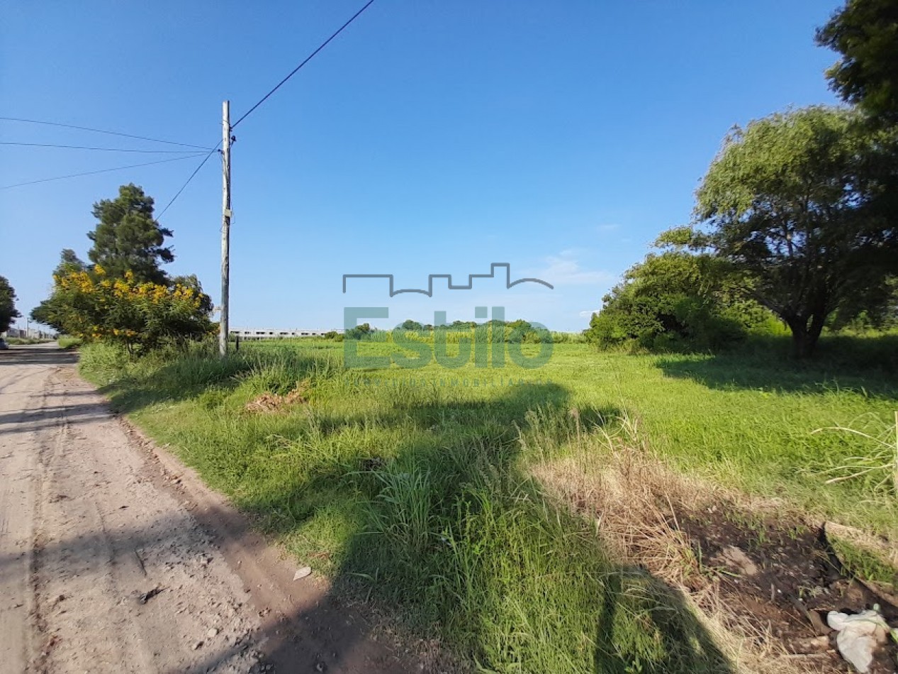 ALQUILER 1,5 HECTAREAS EN ZONA NORTE - LA ESMERALDA