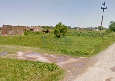 LOTE EN SAUCE VIEJO
